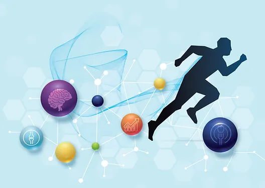 The Science Behind Sports Performance